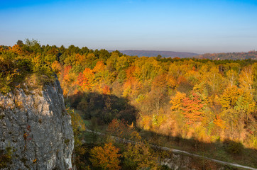 Obraz premium Autumn landscape, Krakow, Poland, Zakrzowek park
