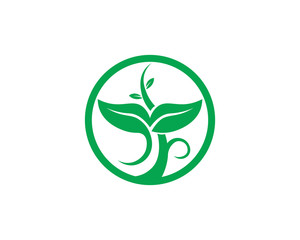 Tree leaf vector logo design, eco-friendly concept.