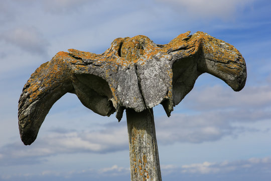 Walknochen