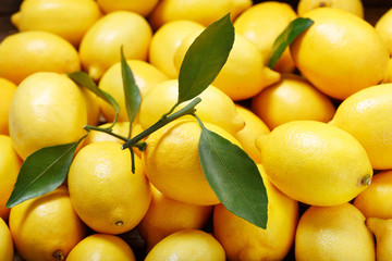 fresh lemons as background, top view