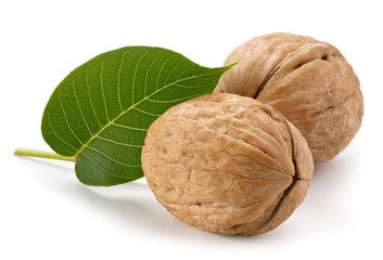 Walnuts with leaves isolated on white