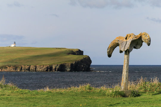 Walknochen auf den Orkneys