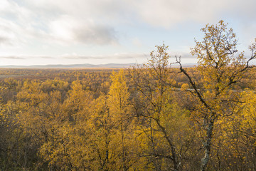 Finland's lapland