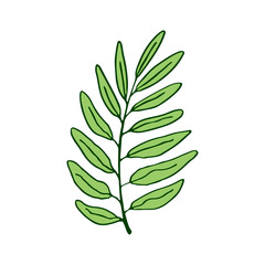 Leaf vector illustration. Interior print design. Tropical palm leaf. Cute sticker or tattoo art.