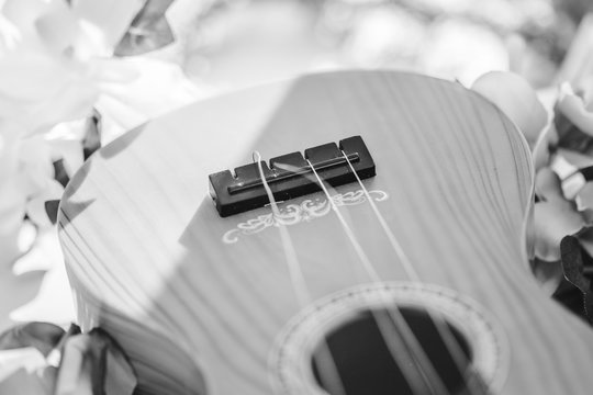 Guitare en noir et blanc
