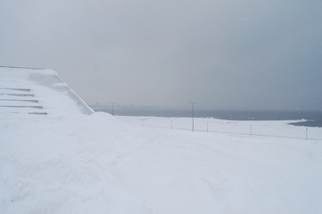 Winter Tallinn