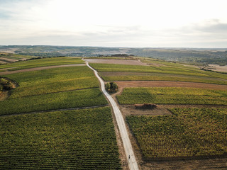 Burgundy french vineyard view by drone