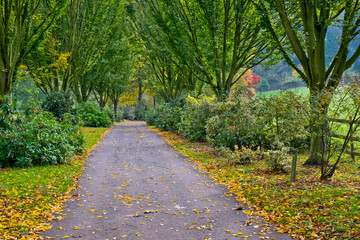 Bodenham Arboretum autumn colours Worcestershire