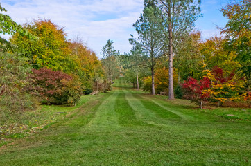Fototapeta na wymiar Bodenham Arboretum autumn colours Worcestershire