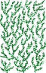Doodle leaves on the branches - hand drawn doodle graphic line design element. Vector illustration