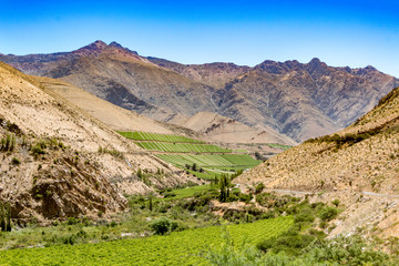 Paisaje del Valle del Elqui Chile