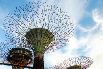 Supertree Grove of Gardens by the Bay in Singapore