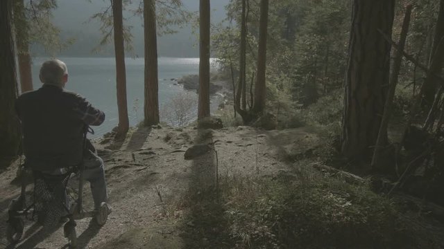 Senior mit Rollator blickt auf See