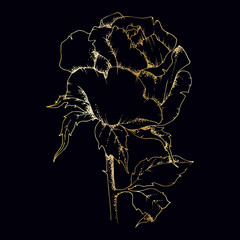 Wildflower Roses in gold in a vector style isolated. Vector flower for background, texture, wrapper pattern, frame or border.