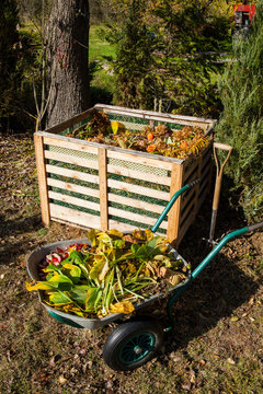 Image Of Compost Bin In The Garden