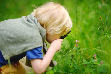 Charming kid exploring nature with magnifying glass. Little boy looking at tree with magnifier.