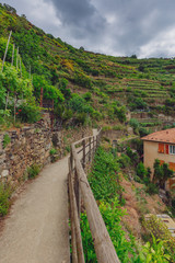 Fototapeta na wymiar Path by hill and house in Manarola, Cinque Terre, Italy