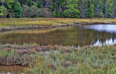 A large tidal pond on the shore of Sears Island in Maine.
