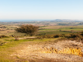 hardy monument tall building old special england dorset black down countryside nature landscape