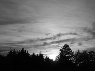Fototapeta premium Sonnenuntergang mit Wolken, Bäumen und Kran sw