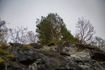 Untreated rough natural gray stone in everyday environment
