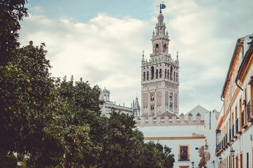 The Giralda tower behind the trees