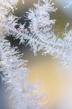 Beautiful Frost Macro