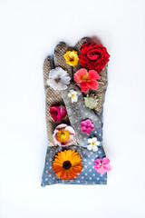 Fototapeta na wymiar flowers on the garden gloves