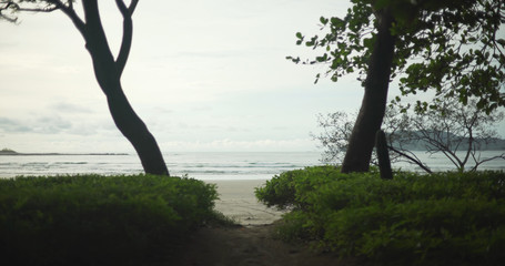 View of calm sea waves on Costa Rica beach between two trees
