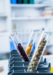 Chemical Laboratory of the Food supply . Food in laboratory, dna modify .GMO Genetically modified food in lab 