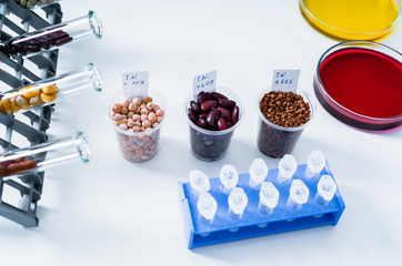 Obraz na płótnie Canvas Food in laboratory, dna modify .GMO Genetically modified food in lab .