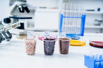 Chemical Laboratory of the Food supply . Food in laboratory, dna modify .GMO Genetically modified food in lab 