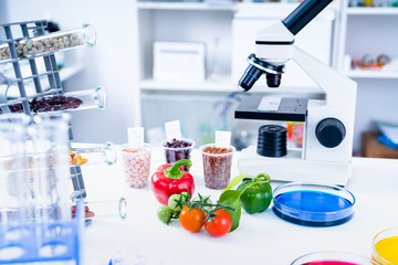Chemical Laboratory of the Food supply . Food in laboratory, dna modify .GMO Genetically modified food in lab - 229267866