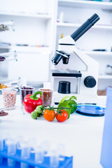 Chemical Laboratory of the Food supply . Food in laboratory, dna modify .GMO Genetically modified food in lab - 229268034