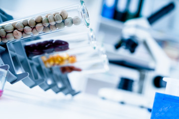 Chemical Laboratory of the Food supply . Food in laboratory, dna modify .GMO Genetically modified food in lab