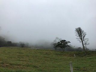 la niebla