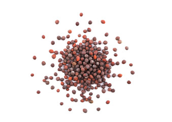 Isolated Brown Mustard Seed Close-Up. Macro Top View.