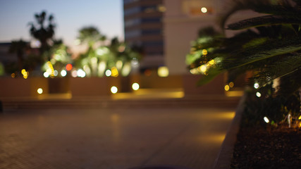Background plate of downtown square with tropical shrubs and trees
