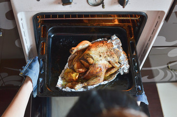 Top view of housewife taking out ready roasted chicken with apples from the oven. Selective focus.
