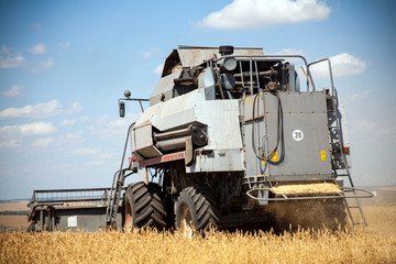 Harvester machine to harvest wheat field working