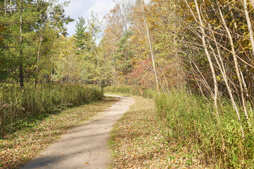 Obraz premium Fall in Barrie, Ontario