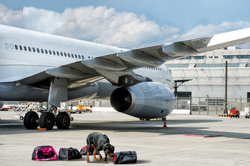 Drug sniffing dog at airport.
