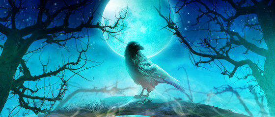 Krähe beim Vollmond