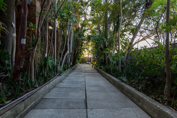 Obraz premium Rooftop garden - São Paulo