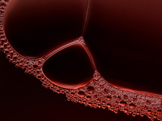 Bubbles in wine.