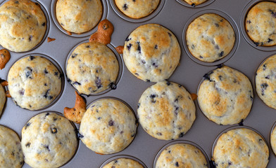 Top view of bite size blueberry muffins in a mini muffin baking pan at an angle.
