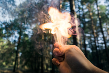 Fire flower made by a flash of fire from matches. Beautiful flower in the middle of a green forest