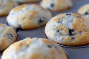 Very close view of warm bite size blueberry muffins in a mini muffin baking pan.