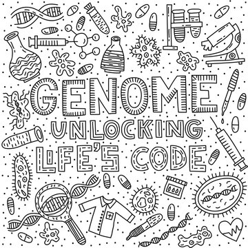 Genome unlocking life's code