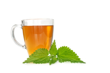 Nettle tea isolated on white background
